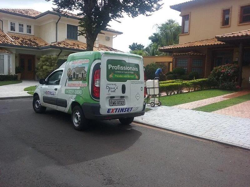 Controle de cupim em Sertãozinho