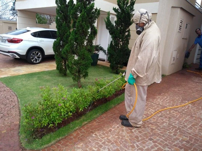 Dedetização de pragas urbanas