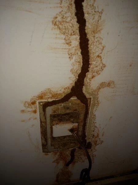 Dedetizadora de cupim em Bonfim Paulista