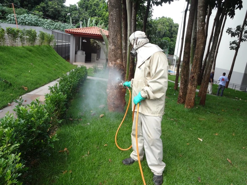 Desinsetização escorpião