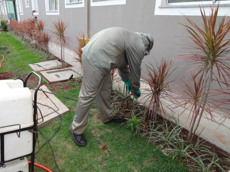 Empresa de desinsetização e desratização