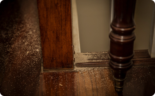 SEU PATRIMÔNIO <br> PODE VIRAR PÓ!