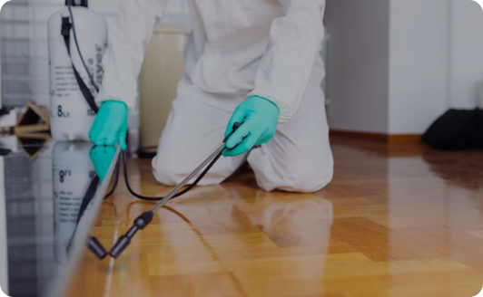 TRATAMENTO PREVENTIVO <br> É A SOLUÇÃO